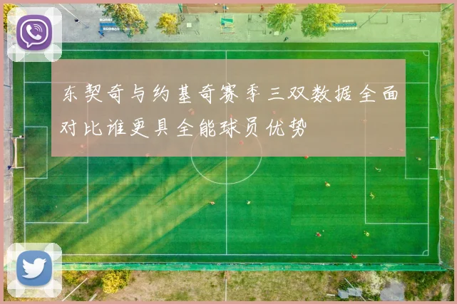 东契奇与约基奇赛季三双数据全面对比谁更具全能球员优势
